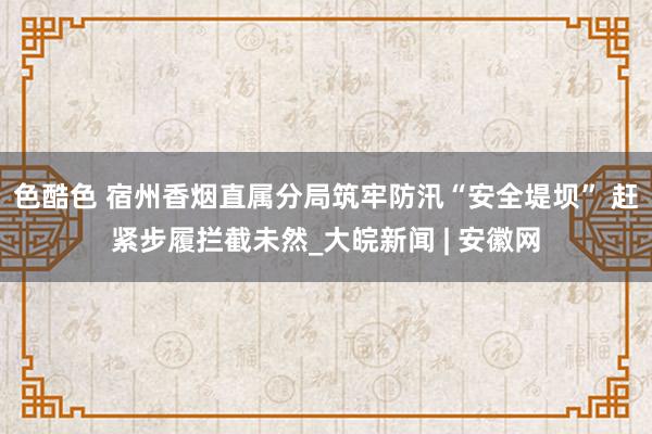 色酷色 宿州香烟直属分局筑牢防汛“安全堤坝” 赶紧步履拦截未然_大皖新闻 | 安徽网