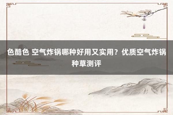 色酷色 空气炸锅哪种好用又实用？优质空气炸锅种草测评