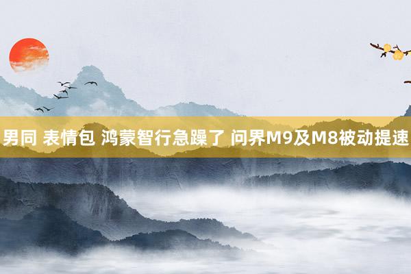 男同 表情包 鸿蒙智行急躁了 问界M9及M8被动提速