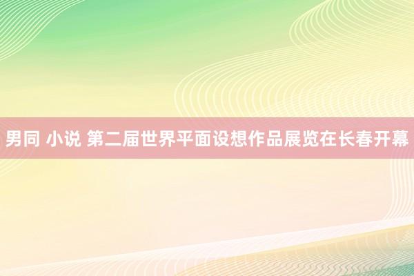 男同 小说 第二届世界平面设想作品展览在长春开幕