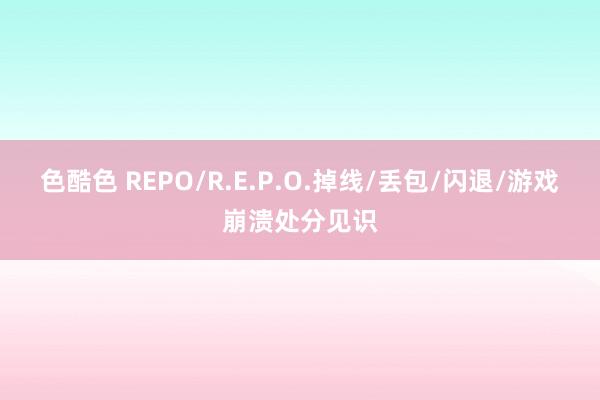 色酷色 REPO/R.E.P.O.掉线/丢包/闪退/游戏崩溃处分见识