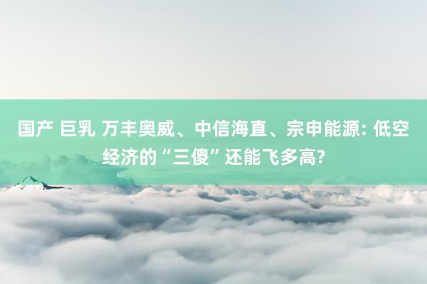 国产 巨乳 万丰奥威、中信海直、宗申能源: 低空经济的“三傻”还能飞多高?