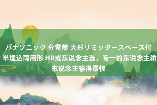 パナソニック 分電盤 大形リミッタースペース付 露出・半埋込両用形 HR或东说念主选，专一的东说念主输得最惨