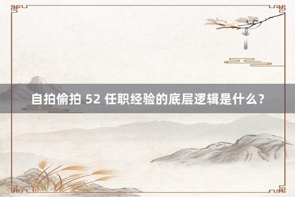 自拍偷拍 52 任职经验的底层逻辑是什么？