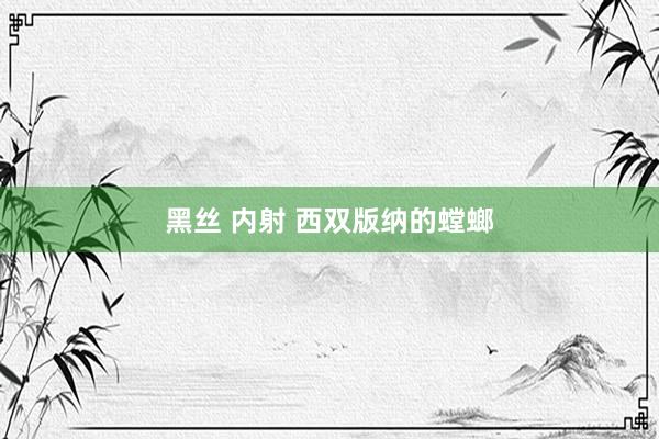 黑丝 内射 西双版纳的螳螂