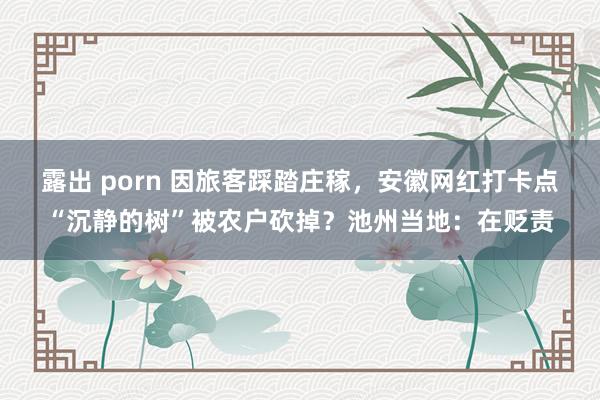 露出 porn 因旅客踩踏庄稼，安徽网红打卡点“沉静的树”被农户砍掉？池州当地：在贬责